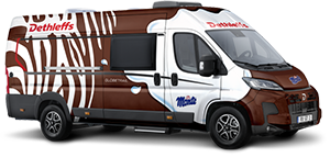 Dethleffs Campervan